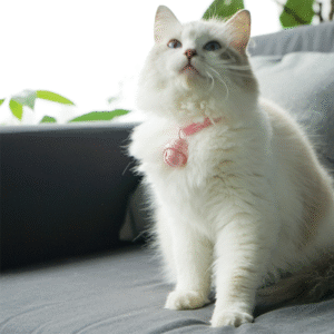 Hanging Pet Feed-Dispensing Bell Toy